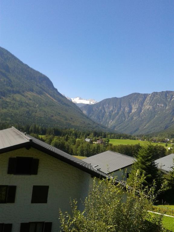 Wohnung Alpencottage バート・アウスゼー エクステリア 写真